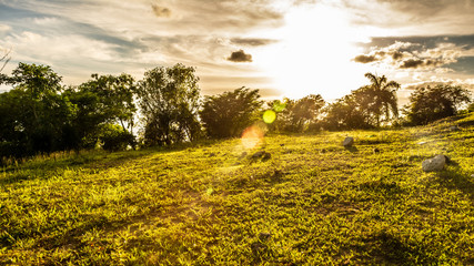 landscape with green field and blue sky