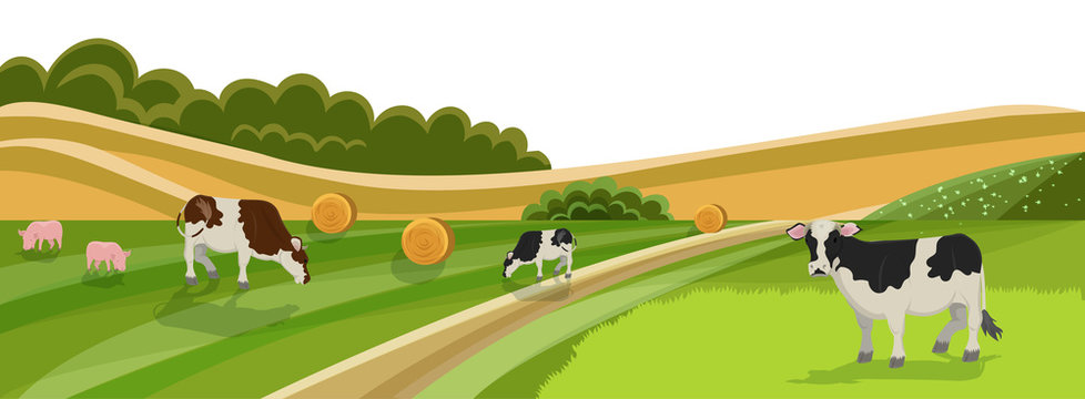 Cow And Pig Graze On Grassland Meadow Vector Illustration. Animal Farm, Cattle Livestock Swine Eating Green Grass On Field. Healthy Organic Dairy Milk Meat Products. Countryside Landscape.