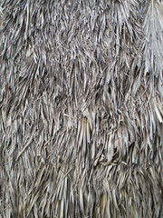 thatch roof