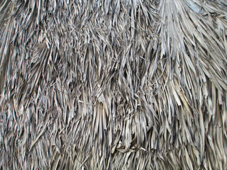 thatch roof