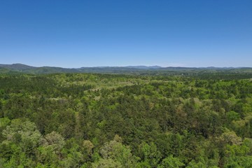 Fototapeta na wymiar Beautiful lush green trees in the spring in the Upstate South Carolina Mountains