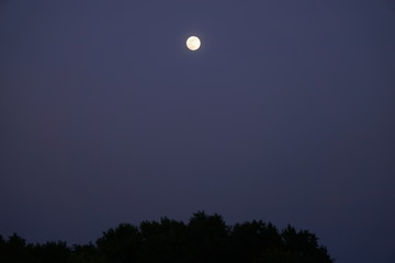 Fototapeta na wymiar Night Picture of the Moon and Sky no stars