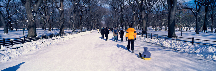 Panoramic view of walker pulling sled with child on fresh snow in Central Park, Manhattan, New York City, NY in winter