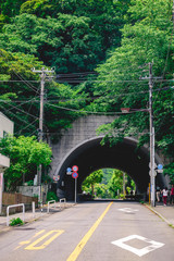 Tunnel and trees at streets of Kamakura, Japan
