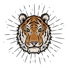 Tiger head. Vector illustration with a Tiger head and divergent rays
