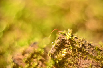 абстракция