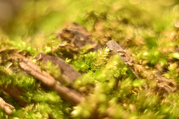 абстракция