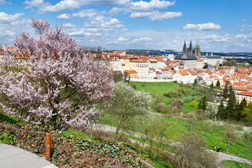 Prague castle with saint Vitus cathedral and Lesser town, Prague (UNESCO), Czech republic