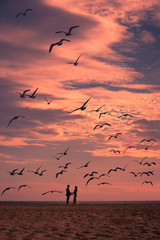 Amazing Sunset Scene in Los Cabos, Mexico