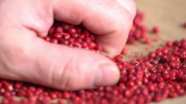 Food spices pink peppercorns red pepper Himalayan pepper berries. concept of fresh and dietary spices for cooking schools vegans and dietary products