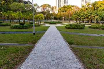 	different pathways converging at the centre of the neighborhood park