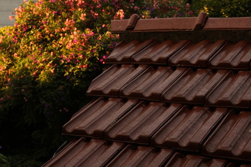 Rooftop with background 2