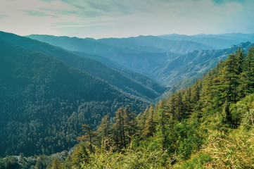 Fototapeta na wymiar Green valley near Kufri Himachal Pradesh India