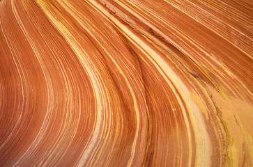 Close up of sandstone stripes, 'The Wave' on Kenab Coyote Butte, BLM, Slot Canyon, UT