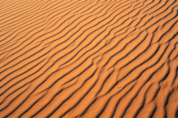 Close up of sand in Coral Pink Sand Dunes State Park, southern UT
