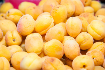 Naklejka na ściany i meble Apricots is sold in the market