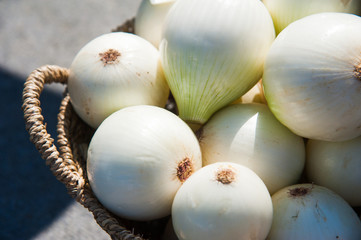 White onions sold in the market