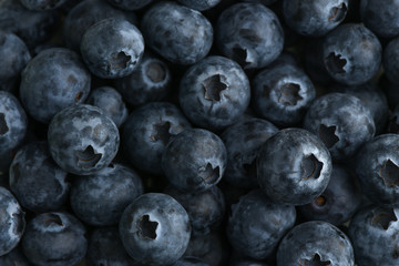Scattering of fresh blueberries. Horizontal background. Close-up shot. Natural background