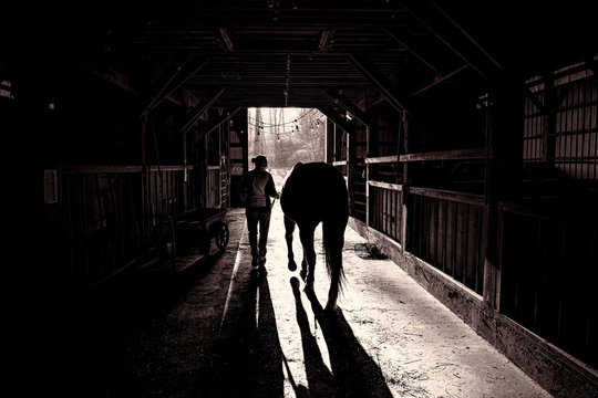 Horse and Cowgirl leave barn in morning light and shadow