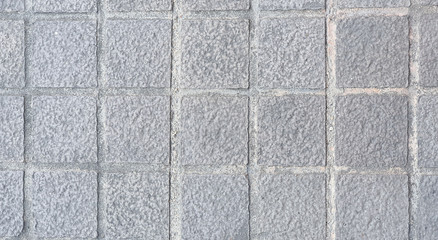 Gray Stamped Concrete floor and pathway