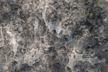 Old texture background close-up, gray concrete wall. Backgrounds and textures