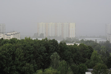 Fototapeta na wymiar Downpour in the city. Rain is coming. Cool, cloudy summers. Apartment building behind the crowns of trees. Weather forecast. Russia, Moscow, Yasenevo
