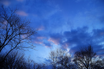 Blue hour after sunset in spring