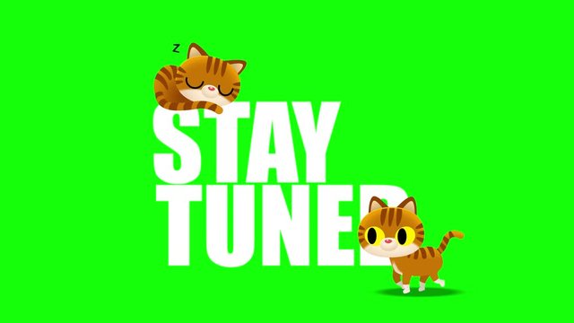 Loop animation of cute cat cartoon characters sleeping and another walking in front of -STAY TUNED- text on green screen background