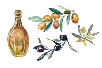 olives branch leaves olive oil in a bottle watercolor hand-drawn separately on white print textile provence italy greece food kitchen cooking menu restaurant