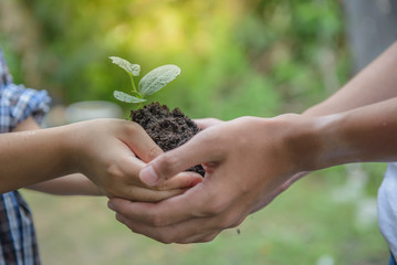 A boy holding seedlings in soil with both hands and the other boy protect to not drop. Select focus...