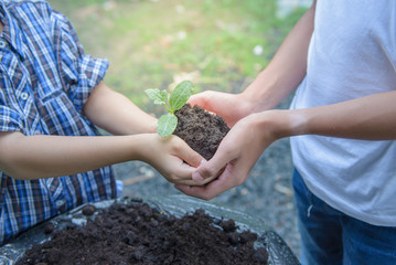 A boy holding seedlings in soil with both hands and the other boy protect to not drop. Select focus on seedling.