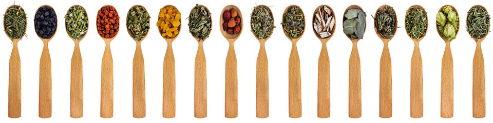 Various medicinal herbs in wooden spoons isolated on a white background. Prevention and treatment with herbal medicine. Banner or website title with medicinal plants