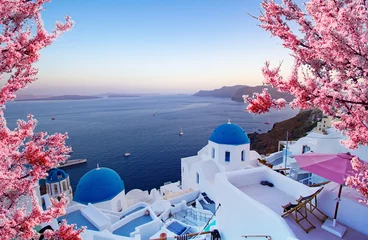 Poster Beautiful view of Oia, Santorini, Greece with pink blossoms flowers at beautiful spring sunset. Vintage colored picture. Business, Love and travel concept © sergeialyoshin