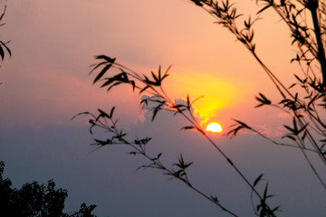 Fototapeta premium sunset in the sky