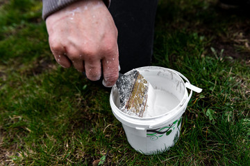 Whitewashing of fruit trees in spring. Care of the garden. Hand with a brush paints a tree to protect it from harmful insects. Pest control.