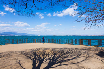琵琶湖畔なぎさ公園風景