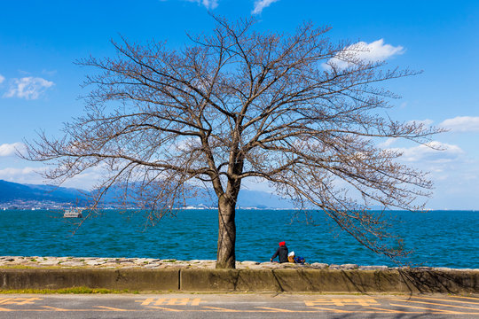 琵琶湖畔 Photos Royalty Free Images Graphics Vectors Videos Adobe Stock 琵琶湖畔 Photos Royalty Free Images Graphics Vectors Videos Adobe Stock