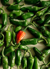Green chilis with red chili in middle
