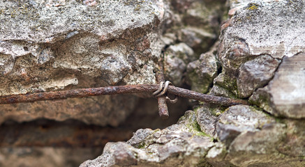 reinforced concrete slabs collapse with time