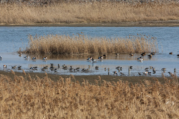 Feel the scenery of the west coast beach