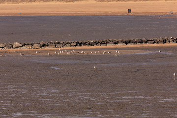 Feel the scenery of the west coast beach