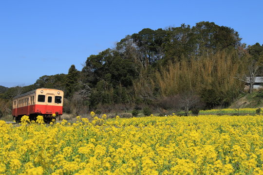 小湊鉄道」の写真素材 | 1,203件の無料イラスト画像 | Adobe Stock