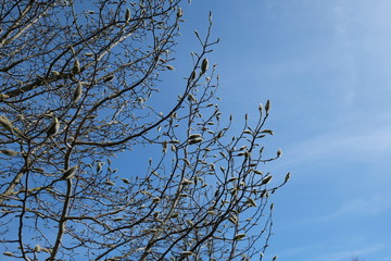 Himmel2