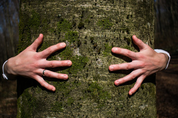 Close up of young female hands hugging a huge tree. Concept of connecting with nature, saving...