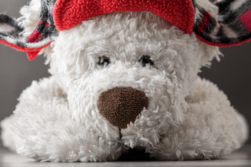 White teddy bear in a red hat. Close-up.
