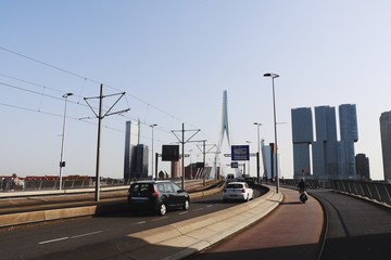 Rotterdam City - Erasmus Bridge