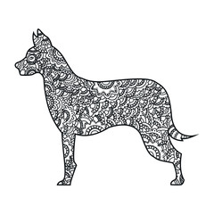 Vector boho dog for coloring book for both adult and children, T - Shirt graphic, poster and other decorations. Hand drawn zentangle dog.