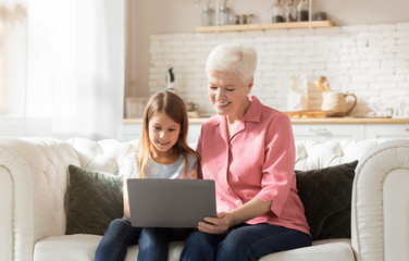 Cheerful mature woman and her granddaughter using laptop together indoors, playing video games or browsing internet