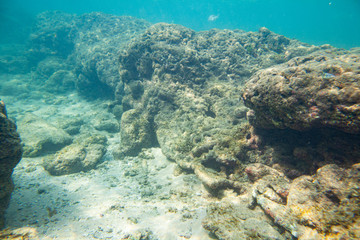 Ocean seabed with stones and sand.