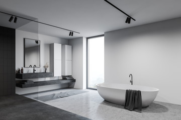 Obraz na płótnie Canvas Loft white bathroom corner with tub and sink